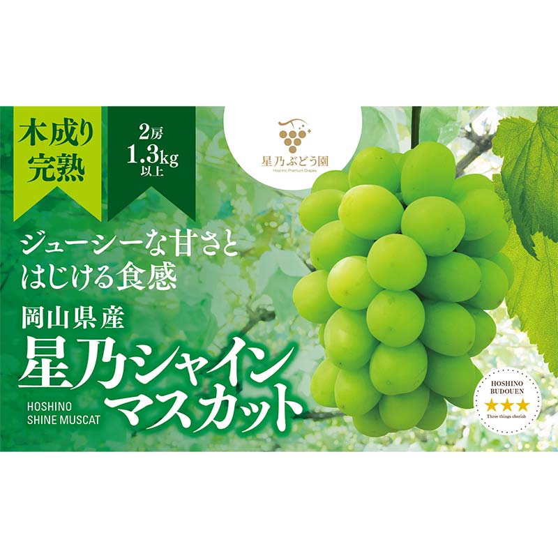 ＜2024年発送 木成り完熟＞星乃シャインマスカット(岡山県産) 2房(1.3kg以上) TY0-0587 | 岡山県津山市 | JRE MALL ふるさと納税