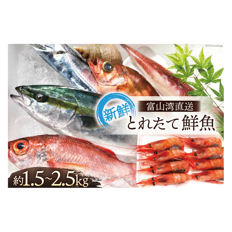  xRp ƂꂽđNZbg 1.5`2.5kg { VN N lߍ킹 Yn ①/׋Ƌg ̉wunv/xR s CN   xRs12000ECYN