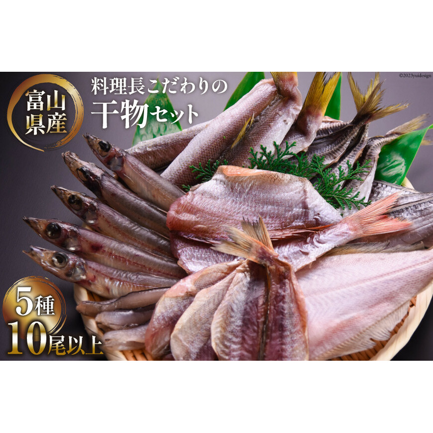 【2024年9月下旬より順次出荷】無添加 干物 詰め合わせ 5種類 10尾以上 期間限定 産地直送 冷凍 / 生地温泉たなかや / 富山県 黒部市 海鮮 魚 魚介類 魚介 セット ひもの イカ 鯖 サバ 富山県黒