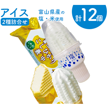 アイス 詰め合わせ 塩ソフト&富山県産こしひかり最中 計12個 アイスクリーム ソフトクリーム モナカ/横山冷菓/富山県 黒部市 お菓子 菓子 富山県黒部市11000菓子・スイーツアイス・ジェラ