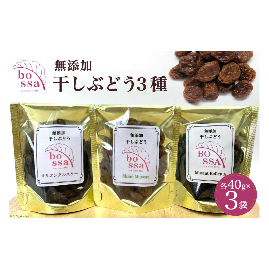 無添加 干しぶどう 3種セット 各40g×1袋 計3袋 食べ比べ 期間限定 国産 レーズン ドライフルーツ 砂糖不使用 ブドウ お菓子 スイーツ 富山県黒部市10000果物・フルーツマスカット・ぶどう