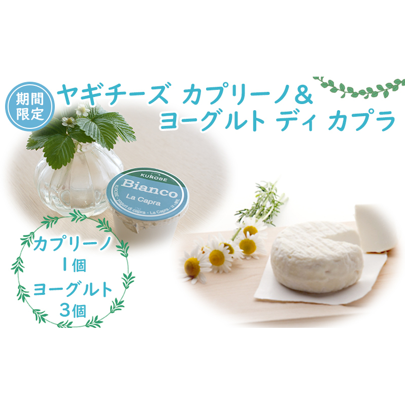 【期間限定】ヤギチーズ カプリーノ&ヨーグルト ディ カプラ 富山県推奨とやまブランド認定品/富山県黒部市 乳製品 ソフトタイプ プレーンヨーグルト 富山県黒部市9000卵・乳製品その他卵