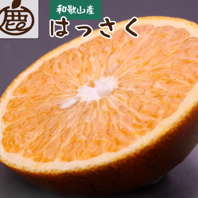 <1月より発送>厳選 はっさく3.5kg+105g(傷み補償分)【春みかん】【八朔みかん】【配送不可地域:離島・北海道・沖縄】【1169143】和歌山県日高町7000果物・フルーツみかん・柑橘類