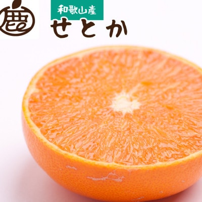 <2月より発送>厳選 せとか1.5kg+45g(傷み補償分)【柑橘・春みかんの王様】【光センサー】【配送不可地域:離島・北海道・沖縄】【1169245】和歌山県日高町10000果物・フルーツみかん・柑橘