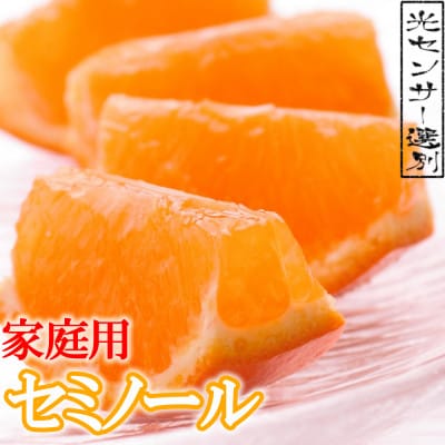 <4月より発送>家庭用セミノールオレンジ4.5kg+135g(傷み補償分)【光センサー】【わけあり】【配送不可地域:離島・北海道・沖縄】【1169316】和歌山県日高町12000果物・フルーツみかん・柑