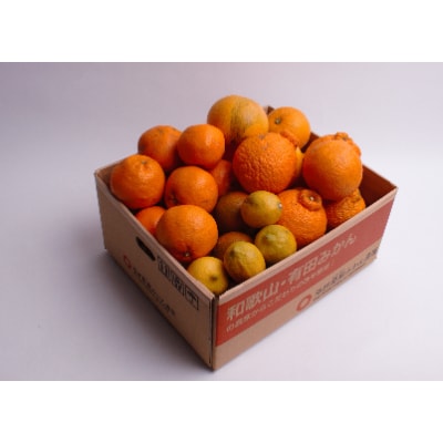 <1月より発送>厳選 柑橘詰合せ1.2kg+36g(傷み補償分)【光センサー選別】【1176697】和歌山県日高町7000果物・フルーツみかん・柑橘類
