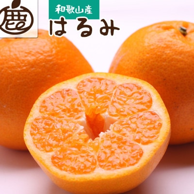 厳選 はるみ1kg+250g(傷み補償分)【デコポンの姉妹品種・新食感春みかん】【光センサー選別】【1176719】和歌山県日高町8000果物・フルーツみかん・柑橘類