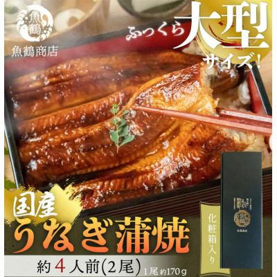 大型サイズ ふっくら柔らか国産うなぎ蒲焼き 2尾【配送不可地域:離島】【1216731】和歌山県日高町20000魚介・海産物うなぎ