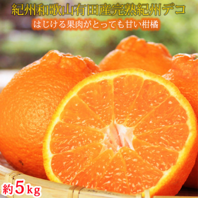 ʓvv@nIBfR(sm) 5kgyzyzsnFzy1216970za̎R17000ʕEt[c݂Ek