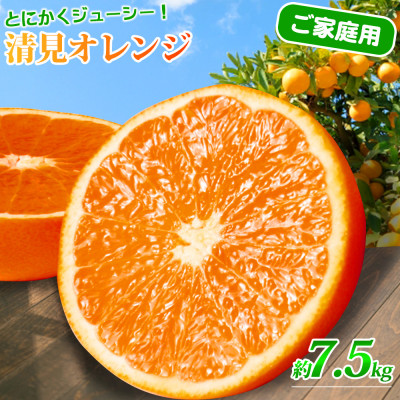 【2026年4月より発送】【ご家庭用訳アリ】紀州有田産清見オレンジ 7.5kg【日高町】【配送不可地域:離島】【1216974】和歌山県日高町16000果物・フルーツみかん・柑橘類