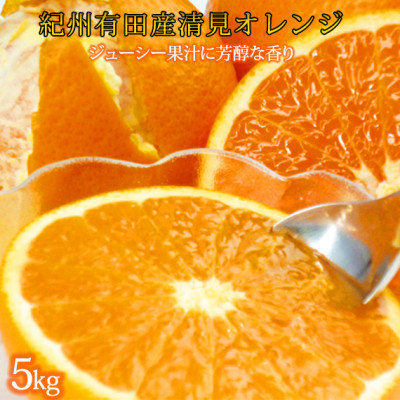 【2026年4月より発送】とにかくジューシー清見オレンジ 5kg【日高町】【1216976】和歌山県日高町14000果物・フルーツみかん・柑橘類