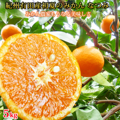 y2026N4{蔭zĂ݂̂@Ȃ5kgyzyzsnFzy1216978za̎R14000ʕEt[c݂Ek