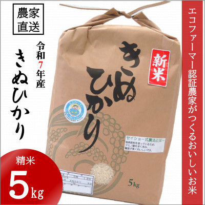 【令和7年10月〜順次発送】★令和7年産新米★米「きぬひかり」5kg【1217322】和歌山県日高町15000米・パン白米