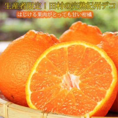 【日高町】高級ブランド田村の完熟紀州デコ(不知火) 約4.5kg【1217361】和歌山県日高町17000果物・フルーツみかん・柑橘類