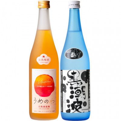 焼酎 黒潮波(くろしおなみ)720mlと紀州完熟南高梅「梅酒」720mlの2本セット【1217600】和歌山県日高町13000酒・アルコール梅酒・果実酒