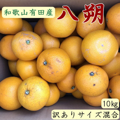 yIʁE󂠂zLcY̔10kg(TCY)yzy1217624za̎R14000ʕEt[c݂Ek