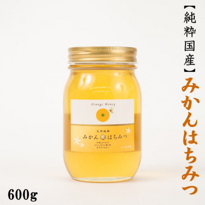 みかん王国和歌山県の下津で採れたみかん純粋国産みかんはちみつ600g【日高町】【1217626】和歌山県日高町15000鍋セット・総菜・加工食品ジャム・はちみつ