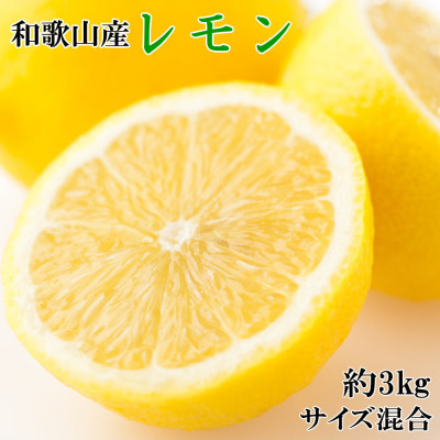 【産直】和歌山産レモン約3kg(サイズ混合)【日高町】【1217635】和歌山県日高町13000果物・フルーツみかん・柑橘類
