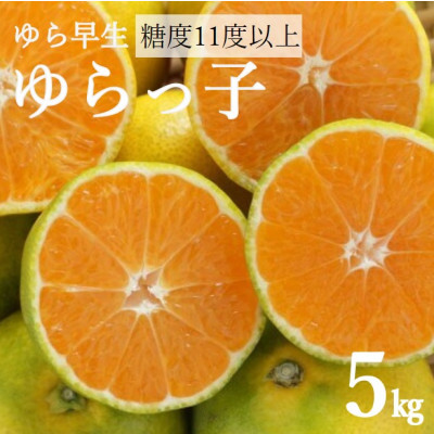 糖度11度以上!ゆら早生みかん「ゆらっ子」5kg(サイズ2S〜M)【2025年10月中旬〜順次発送】【1218292】和歌山県日高町15000果物・フルーツみかん・柑橘類