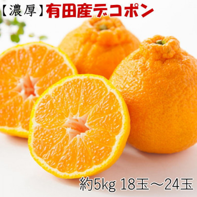 【お味濃厚】紀州有田産のデコポン約5kg(18玉〜24玉入り)(日高町)【1220498】和歌山県日高町18000果物・フルーツみかん・柑橘類