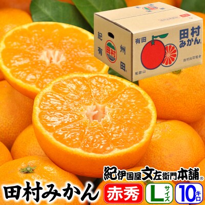 【日高町】田村みかん 特選ギフト品10kg【Lサイズ】赤秀/湯浅町田村地区産/産地直送【1221327】和歌山県日高町30000果物・フルーツみかん・柑橘類