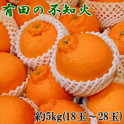 【濃厚春柑橘】有田産不知火約5kg(18玉〜28玉おまかせ) (日高町)【1221746】和歌山県日高町15000果物・フルーツみかん・柑橘類