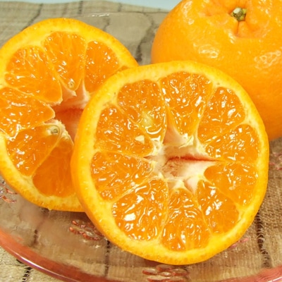 |J[5kg]a̎RLcYt݂ (ʎTCY܂)y1223183za̎R16000ʕEt[c݂Ek