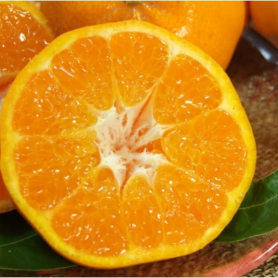 ͂[2.8kg]a̎RLcYt݂ tk(ʎTCY܂)y1223481za̎R13000ʕEt[c݂Ek