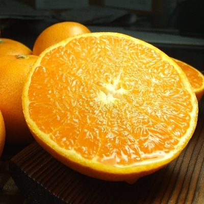 Ƃ[5kg]a̎RLcYt݂ tk(ʎTCY܂)y1223493za̎R22000ʕEt[c݂Ek