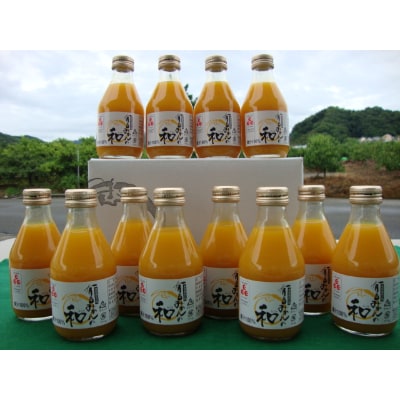 Lc݂̘a180ml×12{()y1224562za̎R13000Eʏ`E؈