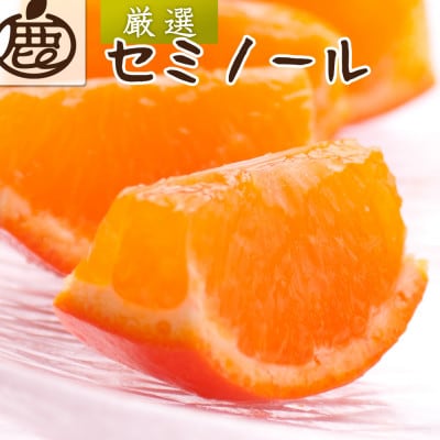 厳選 セミノールオレンジ2.5kg+250g(傷み補償分)【春みかん】【有田産】【光センサー選果】【1241531】和歌山県日高町9000果物・フルーツみかん・柑橘類