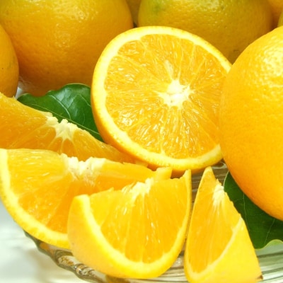 oVAIW[5kg]󒬓cY t݂(ʎTCY܂)y1242254za̎R14000ʕEt[c݂Ek