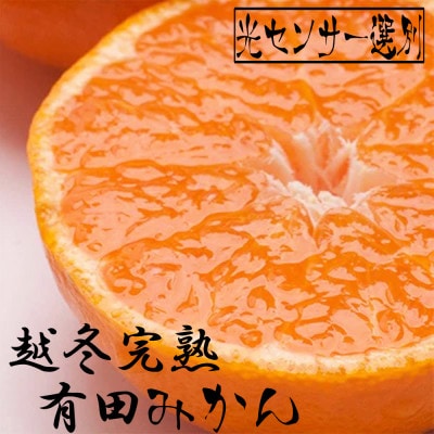 <先行受付>家庭用 越冬完熟みかん2kg+60g(傷み補償)【ハウスみかん】【訳あり】光センサー選果【配送不可地域:離島・北海道・沖縄】【1280511】和歌山県日高町9000果物・フルーツみかん