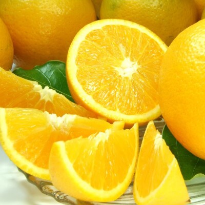 oVAIW[7kg]󒬓cY t݂(IʁEʎTCY)y1284460za̎R18000ʕEt[c݂Ek