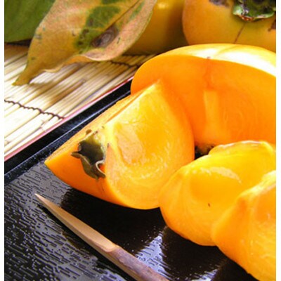 ˂Ȃ`M`2LTCY@40`32l7.5kgy1294083za̎R26000ʕEt[c̑ ʕEt[c