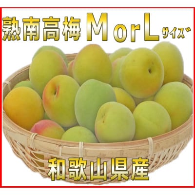 2026/6蔭y~E~pzIBa̎Ȑn썂~@MorL-2kgyzsnFEkCEzy1294812za̎R17000ʕEt[c̑ ʕEt[c
