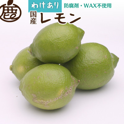 家庭用 レモン5kg+250g(傷み補償分)【和歌山有田産】【防腐剤・WAX不使用】【訳あり】【配送不可地域:離島・北海道・沖縄】【1306183】和歌山県日高町13000果物・フルーツみかん・柑橘類