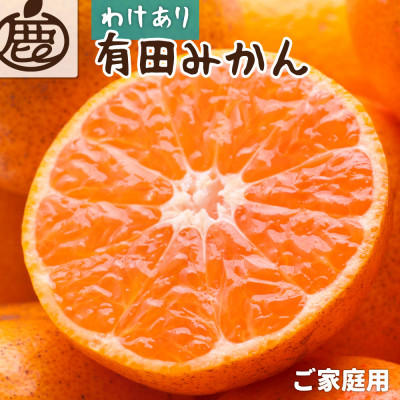 家庭用 有田みかん5kg+250g(傷み補償分)【光センサー選果】【訳あり】【配送不可地域:離島・北海道・沖縄】【1313205】和歌山県日高町11000果物・フルーツみかん・柑橘類