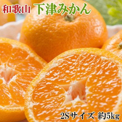 【産直・秀品】和歌山下津みかん約5kg(2Sサイズ)(日高町)【1313839】和歌山県日高町12000果物・フルーツみかん・柑橘類