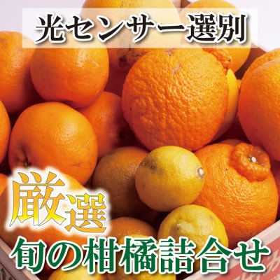 <1月より発送>厳選旬の柑橘詰合せ4kg+120g(傷み補償分)【光センサー選別】【配送不可地域:離島・北海道・沖縄】【1335441】和歌山県日高町11000果物・フルーツみかん・柑橘類
