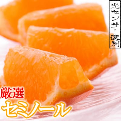 <4月より発送>厳選セミノールオレンジ3kg+90g(傷み補償分)【有田産】【光センサー食べ頃出荷】【配送不可地域:離島・北海道・沖縄】【1345571】和歌山県日高町9000果物・フルーツみかん・