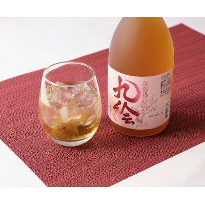 紀州南高梅酒 九絵720ml【1386087】和歌山県日高町9000酒・アルコール梅酒・果実酒