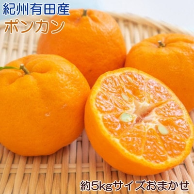 [ZEt݂]LcY|J5kg(TCY܂)()y1407387za̎R15000ʕEt[c݂Ek