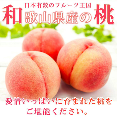 【2026年6月下旬頃順次発送予定】紀州和歌山産の桃 15玉 化粧箱入【配送不可地域:離島・北海道・沖縄】【1421260】和歌山県日高町26000果物・フルーツもも・すもも