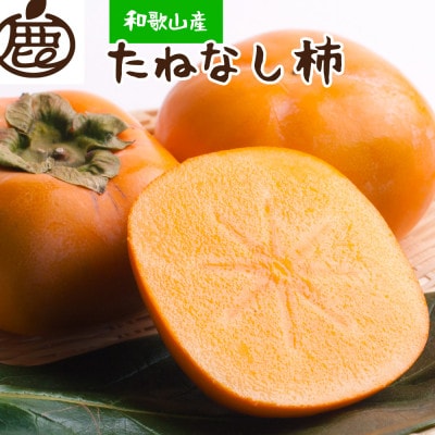 厳選たねなし柿2.5kg【刀根早生・平核無柿(ひらたねなしかき)】【配送不可地域:離島・北海道・沖縄】【1440472】和歌山県日高町10000果物・フルーツその他 果物・フルーツ