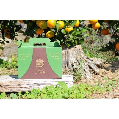 主井農園のカラマンダリン サイズ混合 2kg【配送不可地域:離島】【1441433】和歌山県日高町8000果物・フルーツみかん・柑橘類