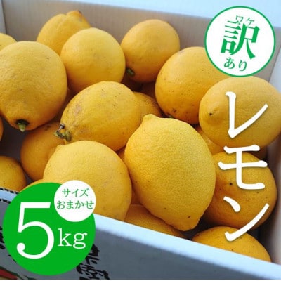 ★先行受付★【ノーワックス】 訳あり 国産 紀州 レモン 約5kg (サイズおまかせ)【1484258】和歌山県日高町10000果物・フルーツみかん・柑橘類
