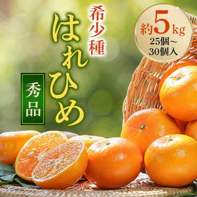 先行受付! はれひめ(みかんの希少種) 秀品 25個〜30個入 約5kg【1485755】和歌山県日高町16000果物・フルーツみかん・柑橘類