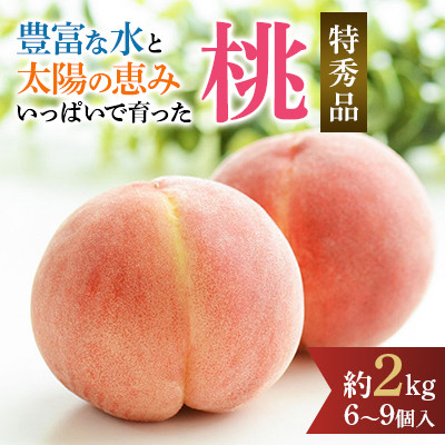 先行受付! 桃 (特秀品) 約2kg 6〜9個入【配送不可地域:離島】【1485759】和歌山県日高町15000果物・フルーツもも・すもも
