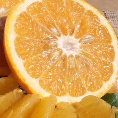 É(܂Ȃ)Gi[5kg] a̎RLcY t݂ (ʎTCY܂)y1489913za̎R12000ʕEt[c݂Ek